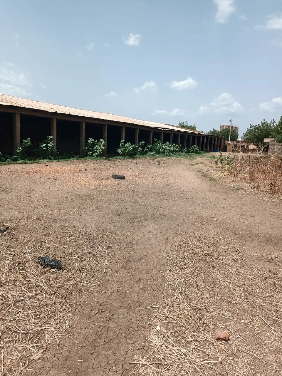 Long storage sheds for grain and oilseed sacks